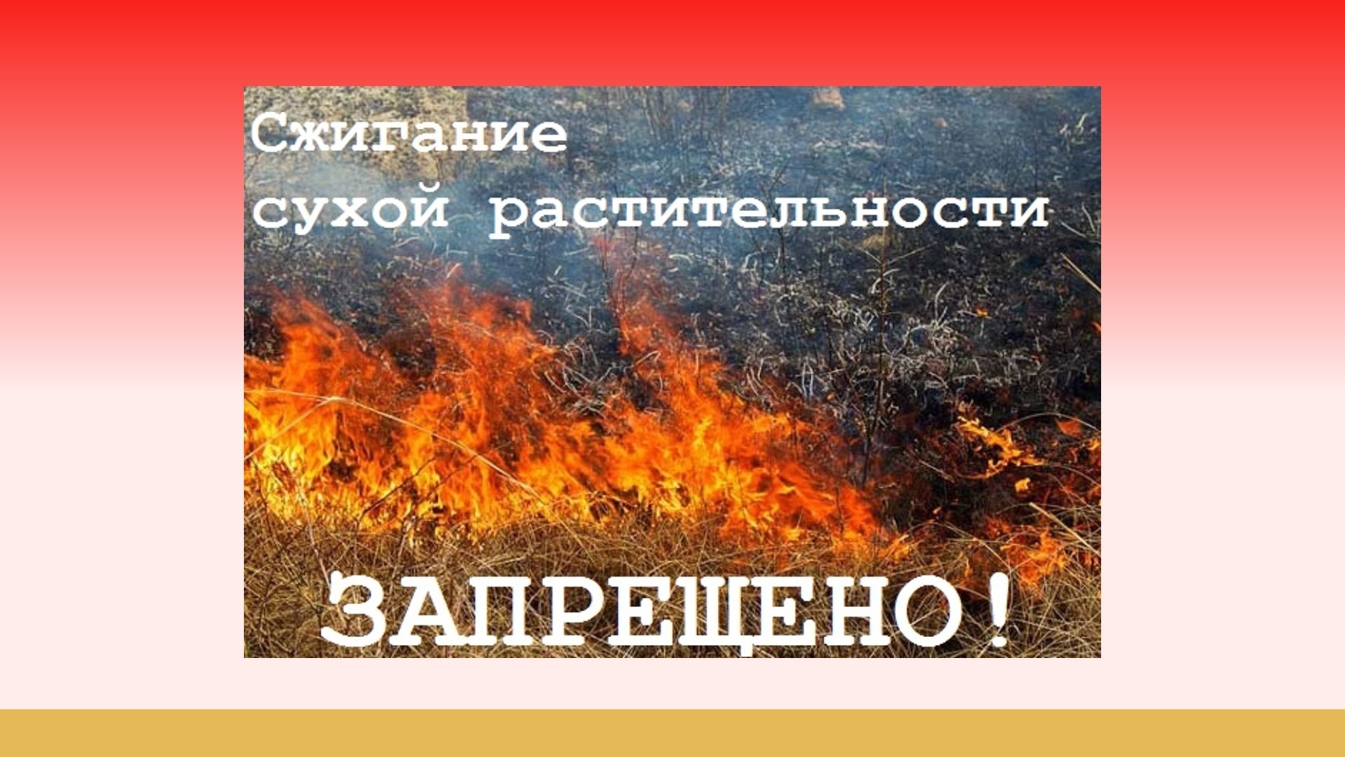 Уважаемые жители! В связи с увеличением ландшафтных пожаров напоминаем о запрете выжигания сухой травянистой растительности. Нарушителям грозит штраф от 5 до 15 тыс. руб..