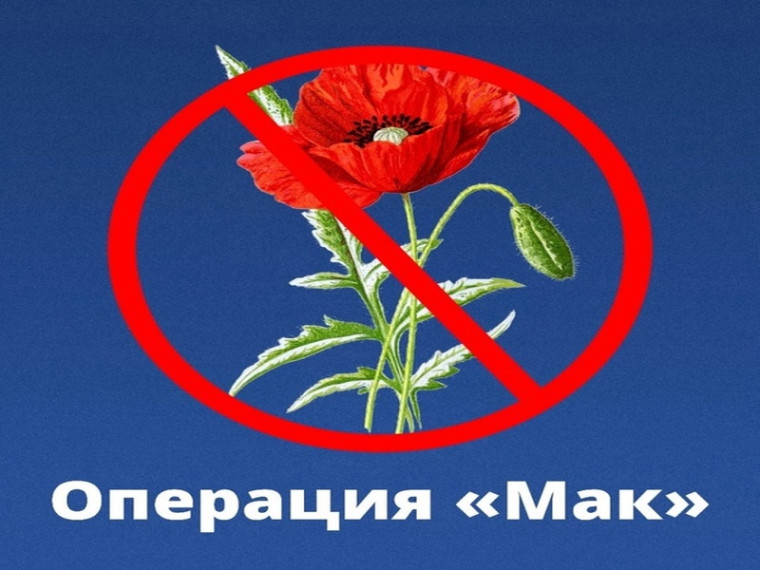 Операция "МАК-2025". Операция "МАК-2025".